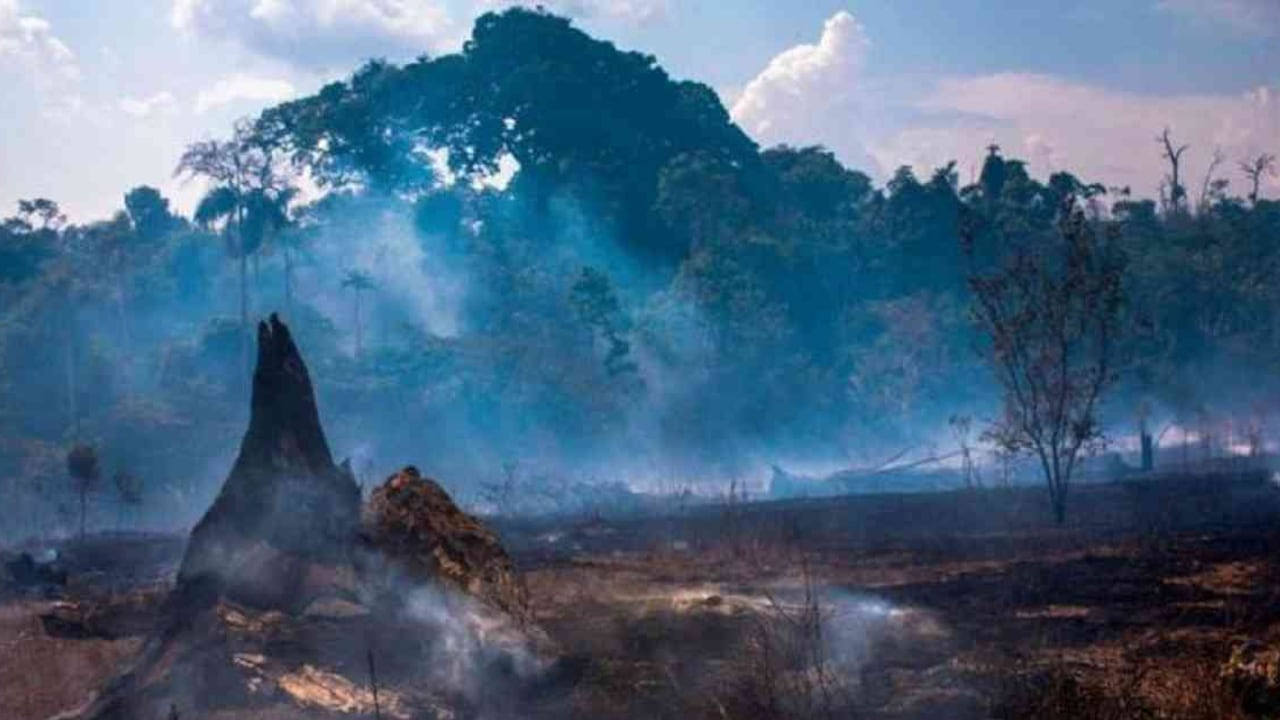 Miles de incendios siguen activos en la Amazonía, tanto en Brasil como en países colindantes. Foto: Getty Images