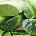 Hay ciertos aspectos que se deben tener presente para preservar la sábila y sus propiedades.