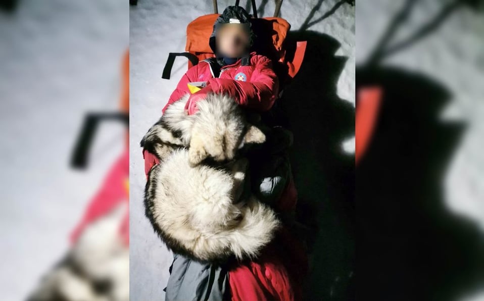 Un perro salva a un excursionista en una montaña croata