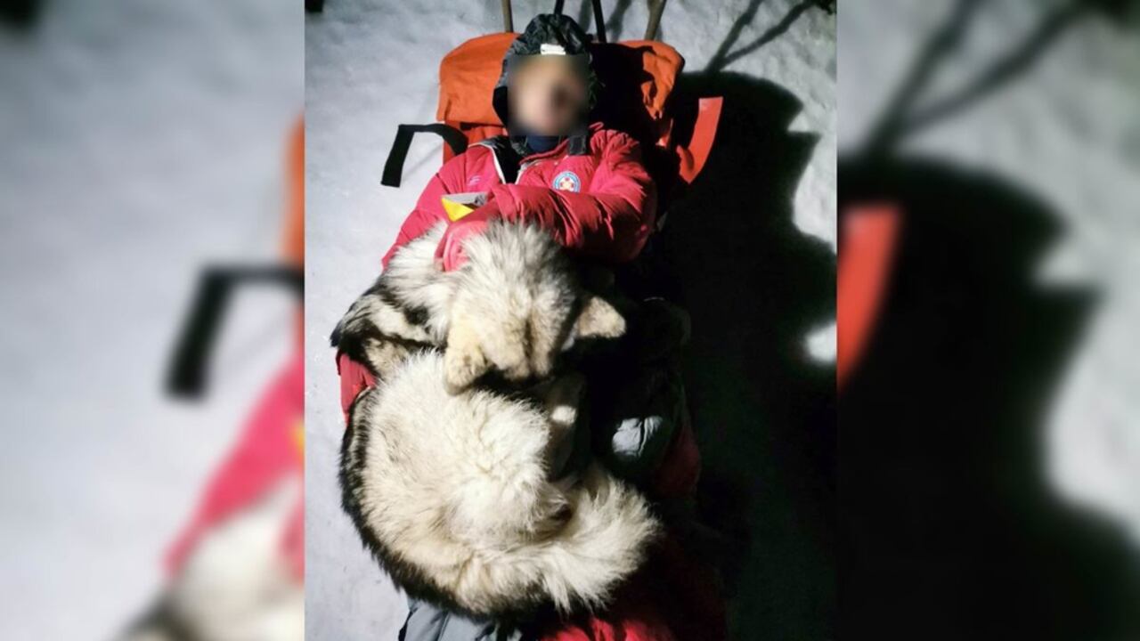 Un perro salva a un excursionista en una montaña croata