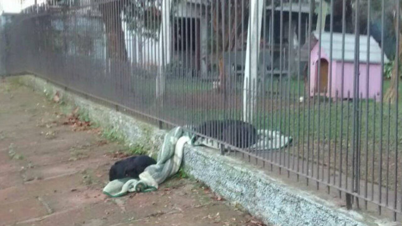 Facebook Suelen Schaumloeffel