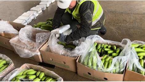Cayó cargamento de cocaína en los puertos de Santa Marta y Cartagena.