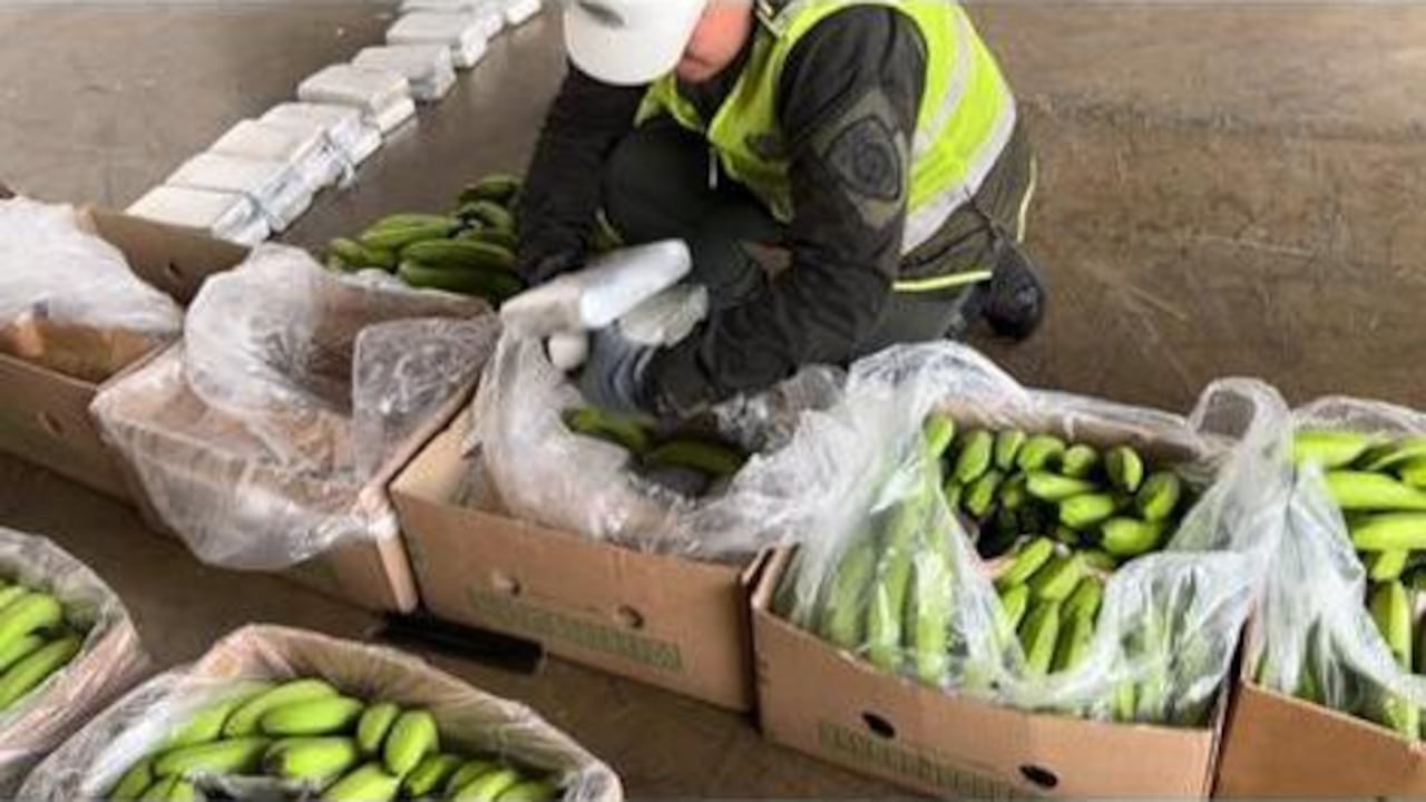 Cayó cargamento de cocaína en los puertos de Santa Marta y Cartagena.