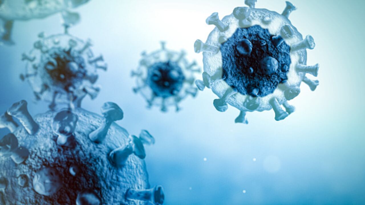 El virus ha dejado más de 20 millones de muertes en todo el mundo.