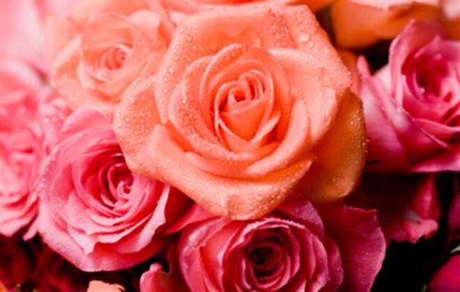 La temporada de San Valentín en Estados Unidos es una de las oportunidades del comercio exterior colombiano.