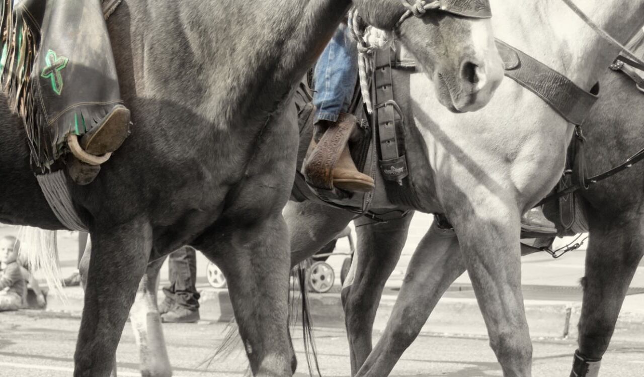 Luego de un caso presentado en 2021 este tipo de eventos quedarán prohibidas en el municipio