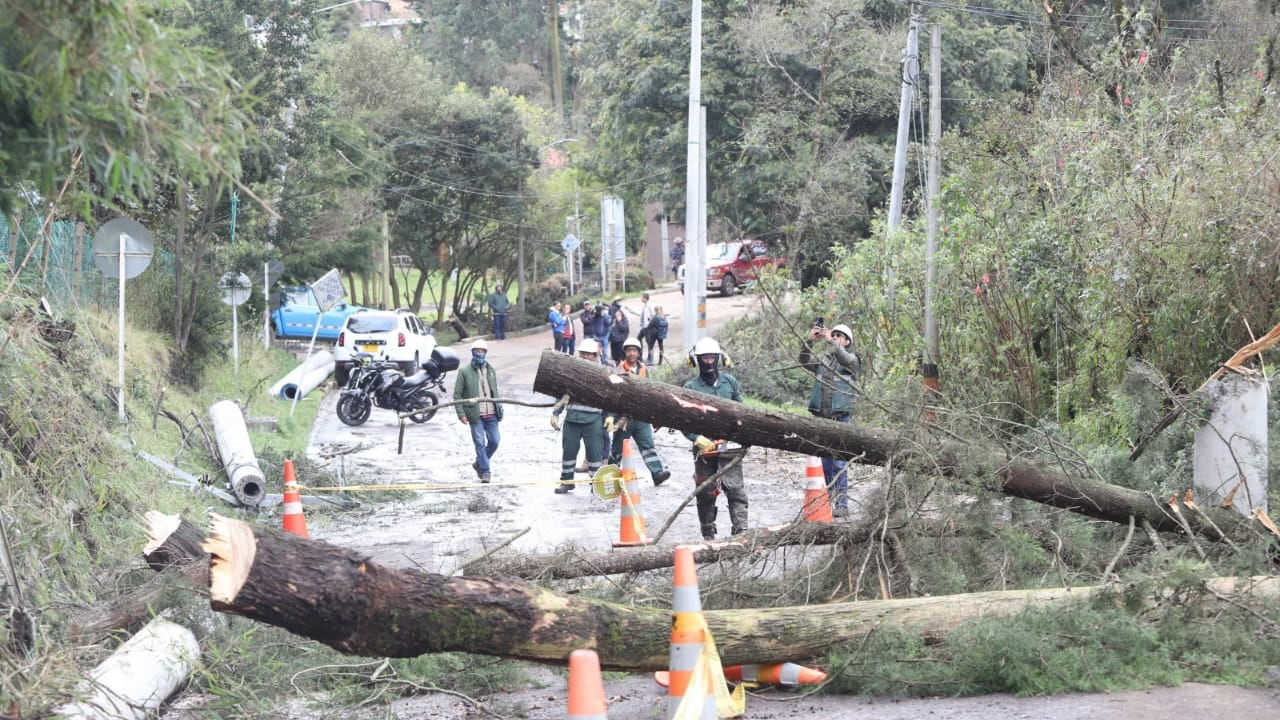 La vía Bogotá - La Calera permanece cerrada. Hay decenas de árboles caídos sobre el corredor.