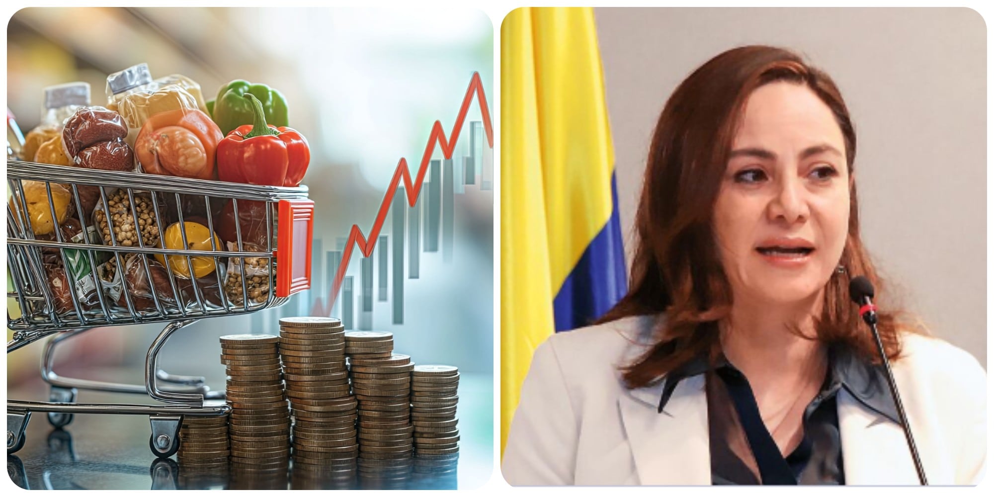 Piedad Urdinola, directora del Dane