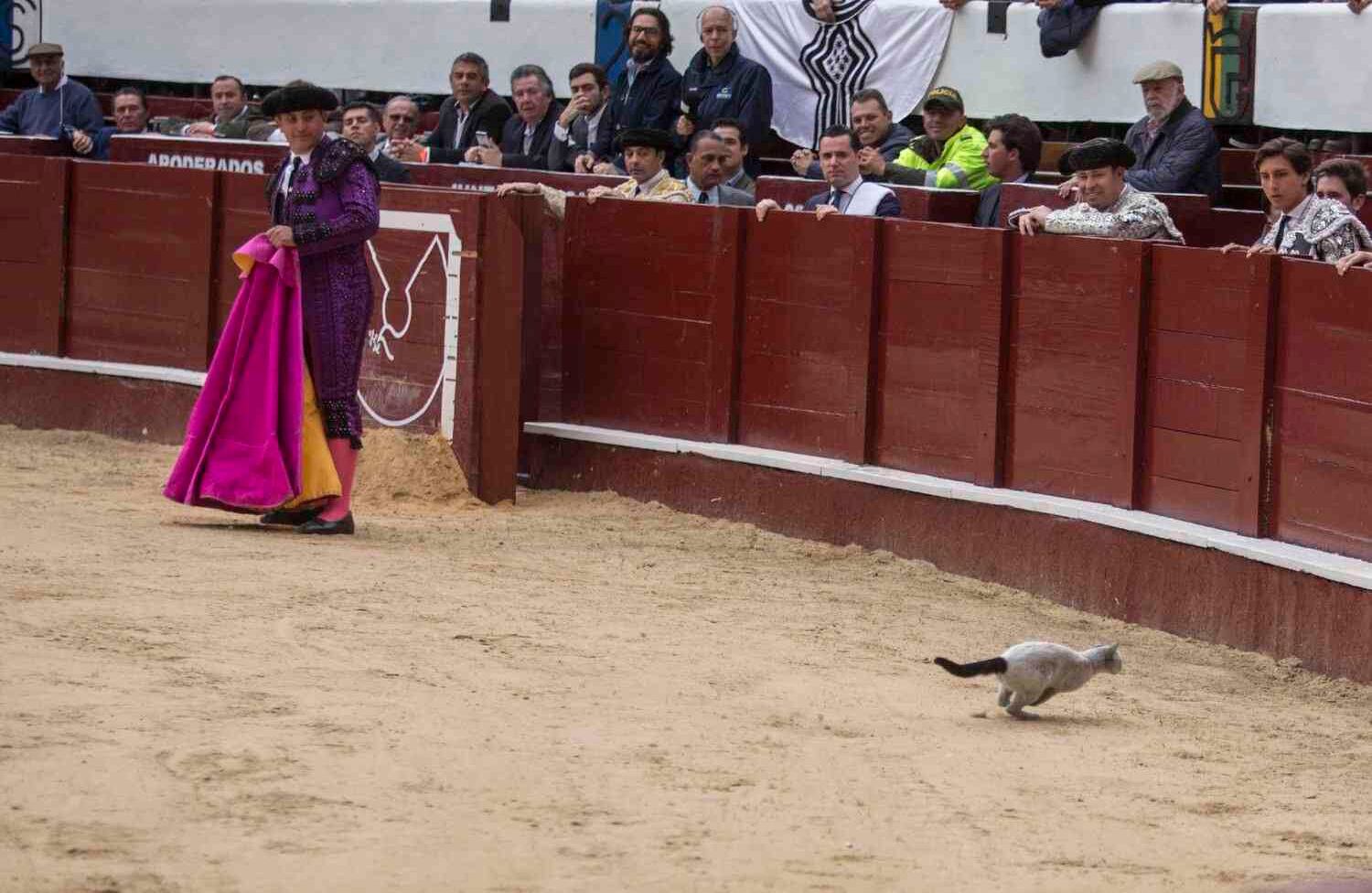 Foto: Juan Carlos Sierra