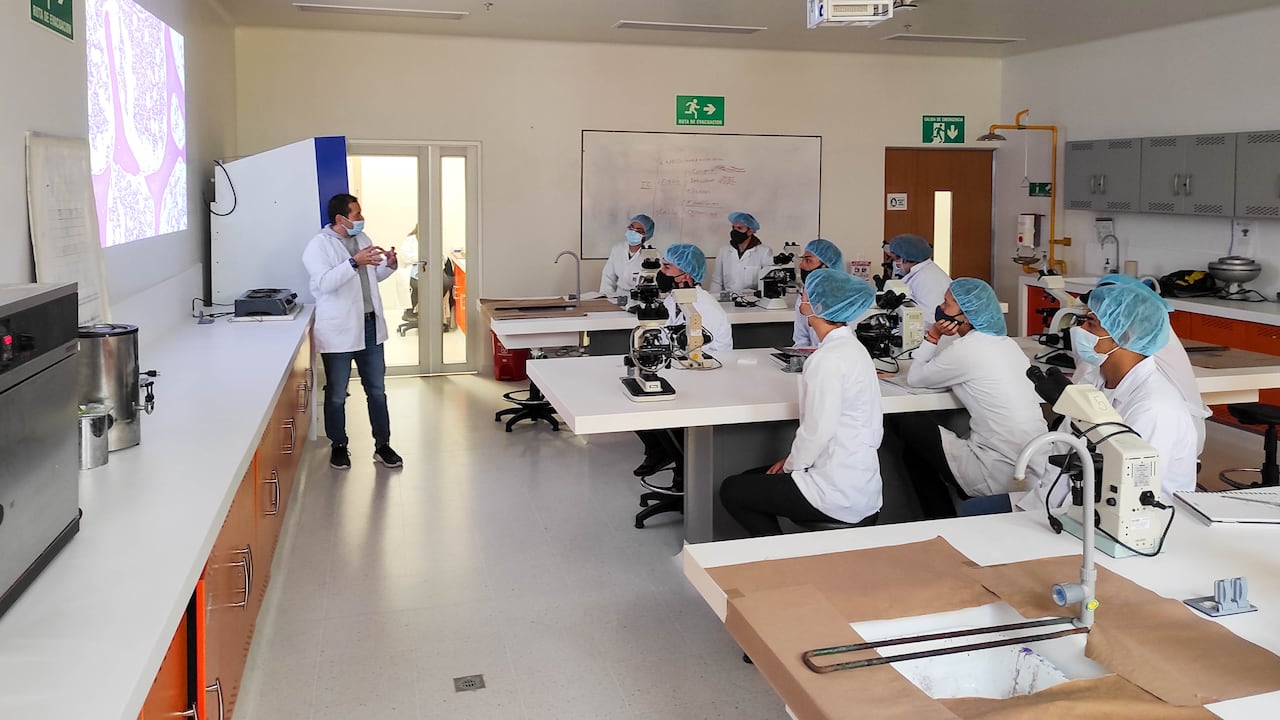 La universidad cuenta con diferentes programas académicos que abordan el compromiso ambiental desde su área de conocimiento.