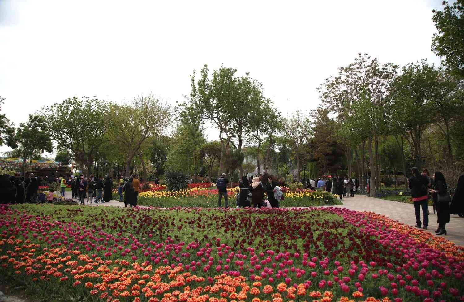 KARAJ, IRÁN: Comenzó el Sexto Festival de Lala (tulipán) en Karaju, al norte de Irán. Este tradicional festival se lleva a cabo en Chamran Park, parque que por estos días parece una alfombra de flores. Muchos visitantes han aprovechado la oportunidad para tomarse fotos junto a las flores. (Fatemeh Bahrami - Agencia Anadolu) 
