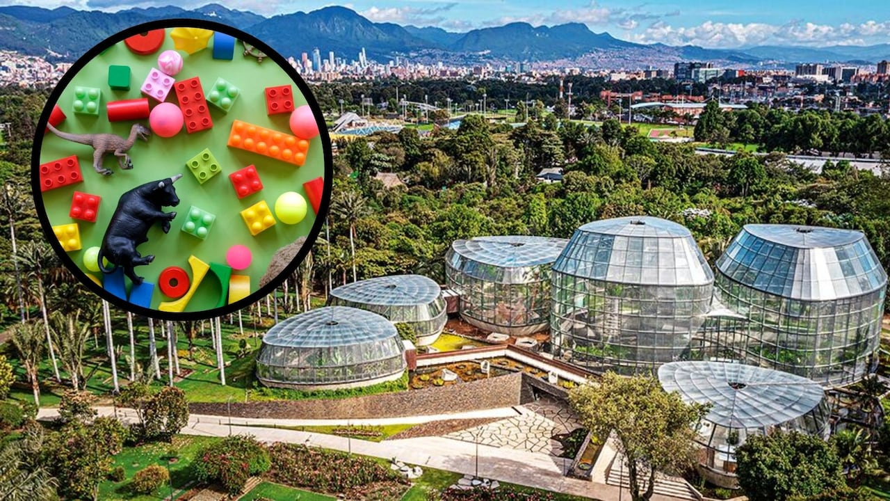 Jardín Botánico tiene agenda este fin de semana para los niños.