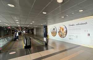 'Colombia… naturalmente’, exposición fotográfica en el aeropuerto El Dorado