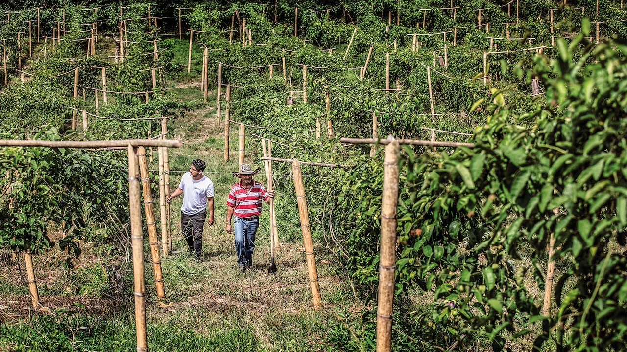 La población rural está entrando en la era de los seguros por medio de productos de bajo costo y fácil acceso.