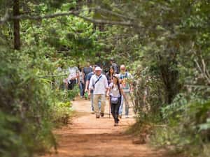 Parque Arví, el destino número uno para hacer turismo de naturaleza en Medellín