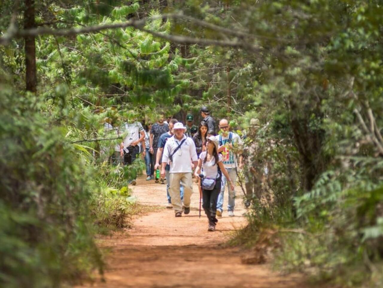 Parque Arví, Medellín