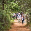 Parque Arví, el destino número uno para hacer turismo de naturaleza en Medellín