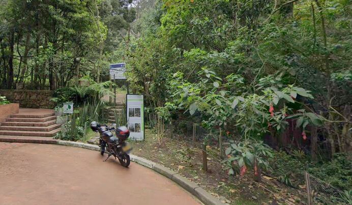 Lugares como baños, parques y zonas boscosas son los preferidos para quienes hacen 'cruising'.