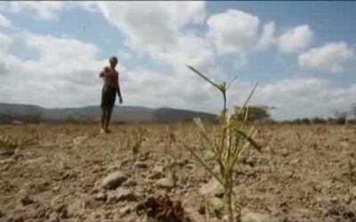 La región más pobre de Brasil afronta un riesgo de hambruna por la sequía