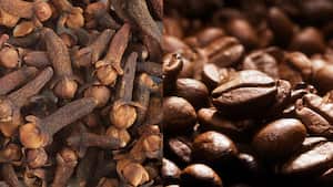 Clavo de olor y café