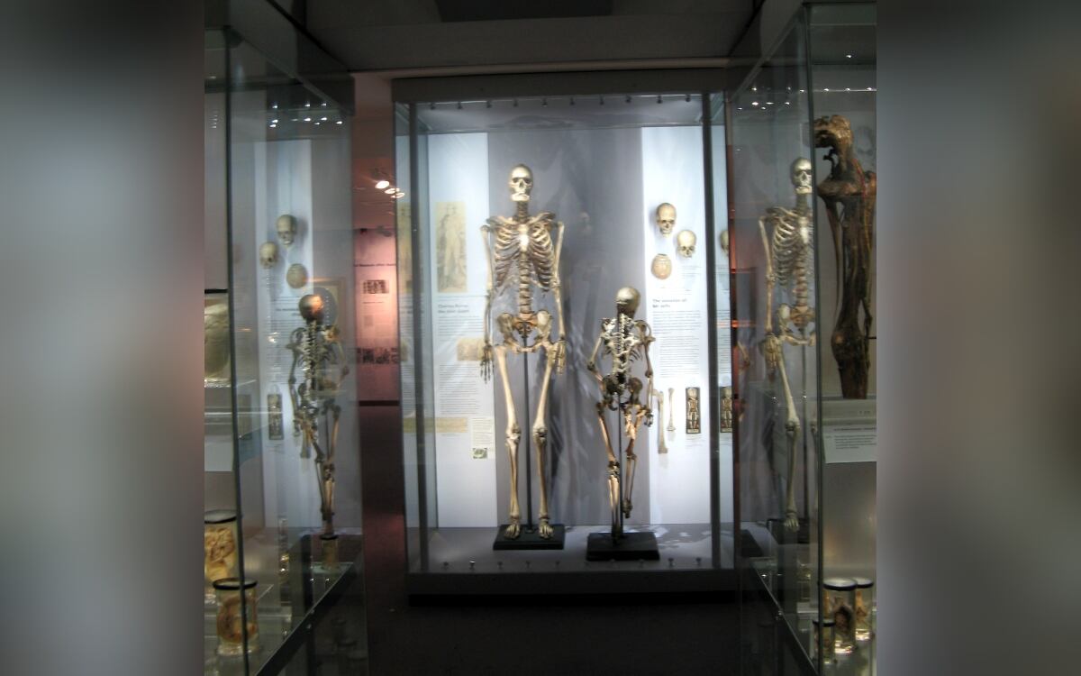 Twitter: @fredbrain (API)