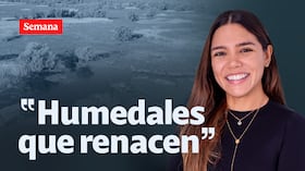La recuperación de los humedales y lagunas en Colombia se ha convertido en un desafío ambiental y social. En el Valle del Cauca, la Laguna de Sonso, ubicada entre Buga y Guacarí, es escenario de un proyecto liderado por Fundocol, que combina conservación, restauración y reconversión productiva.