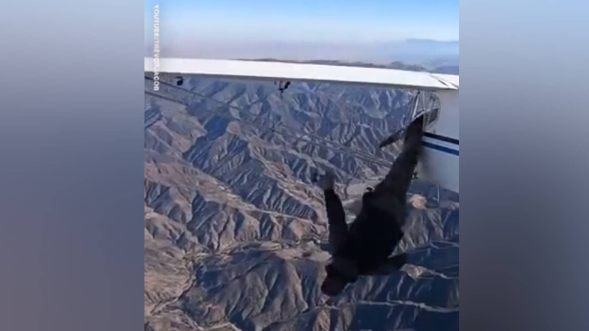 Imagen Video de @clipsthatgohard fotograma 0:02