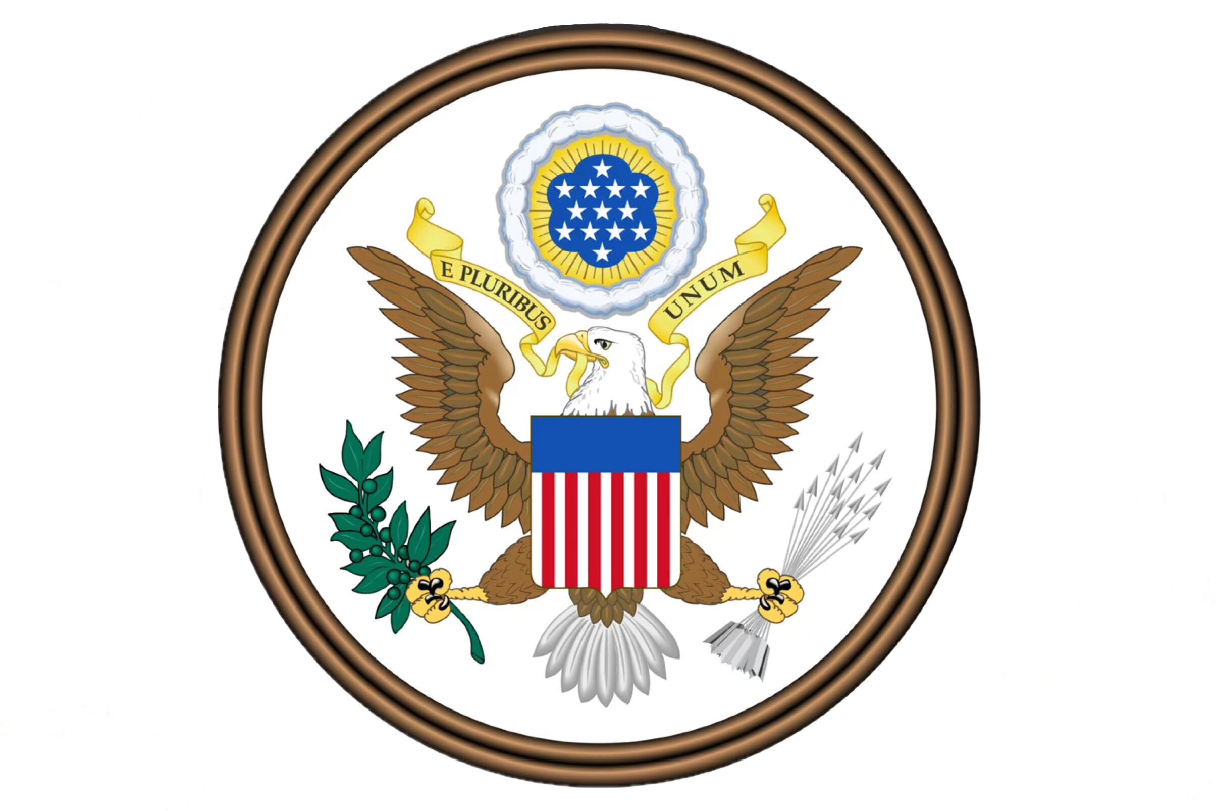 Sobre un escudo con trece bandas rojas y blancas, símbolo de los primeros estados y supervisada por un campo azul que representa a Congreso.