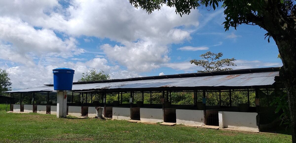 Porcicultores del Huila