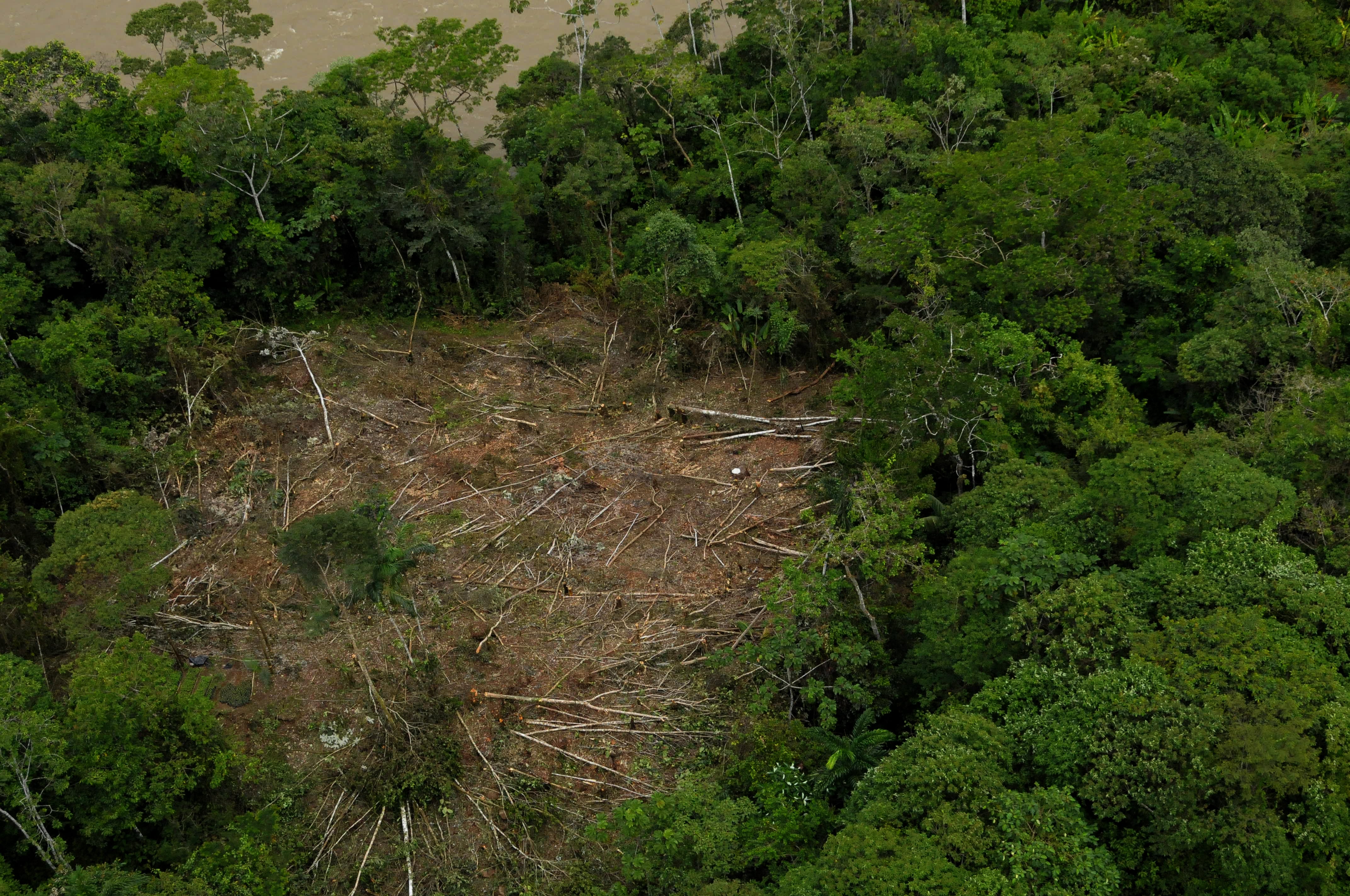 Las Corporaciones Autónomas Regionales y de Desarrollo Sostenible le hacen un llamado al Gobierno.