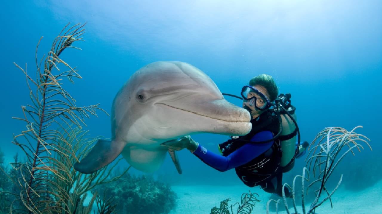 El experimento culminó por falta de financiación y en medio de una polémica.