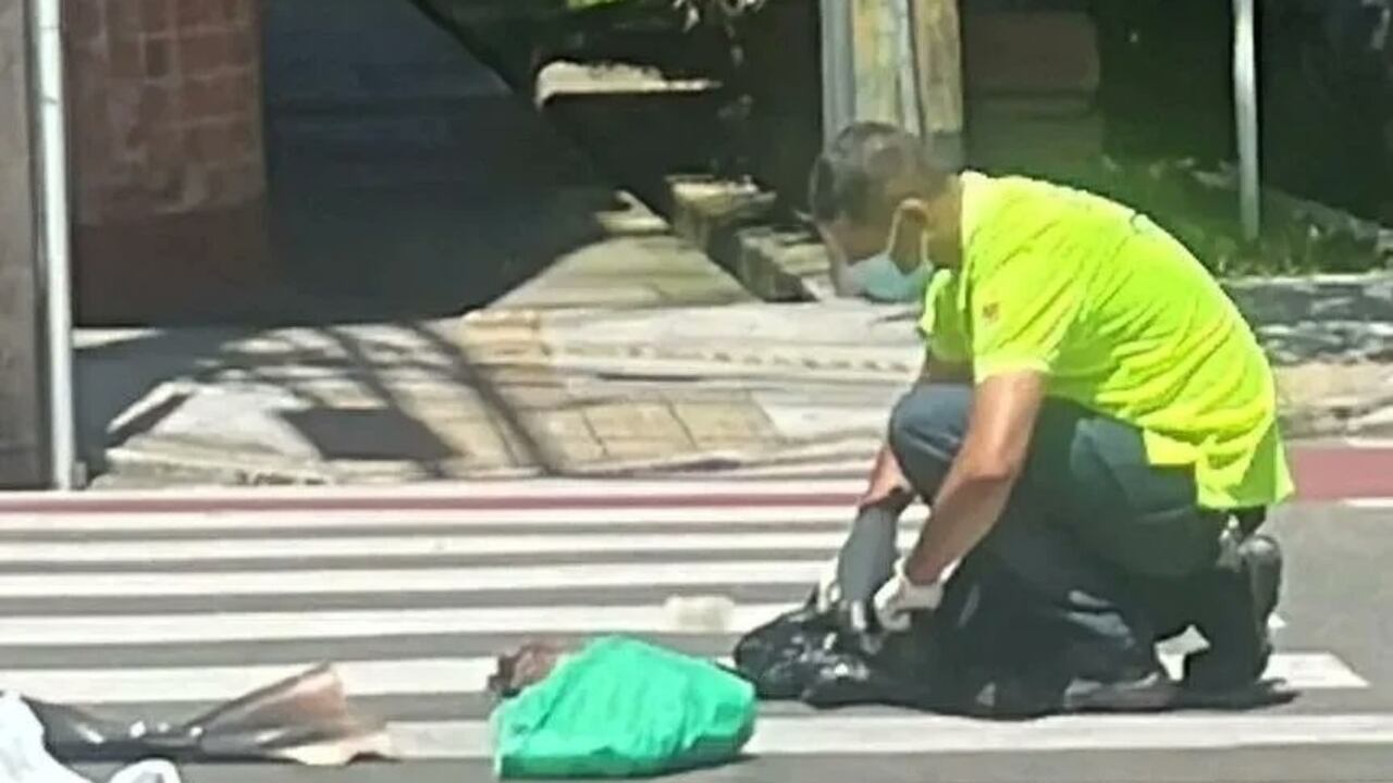 Un perro fue despellejado en Envigado, Antioquia. Los hechos son materia de investigación.