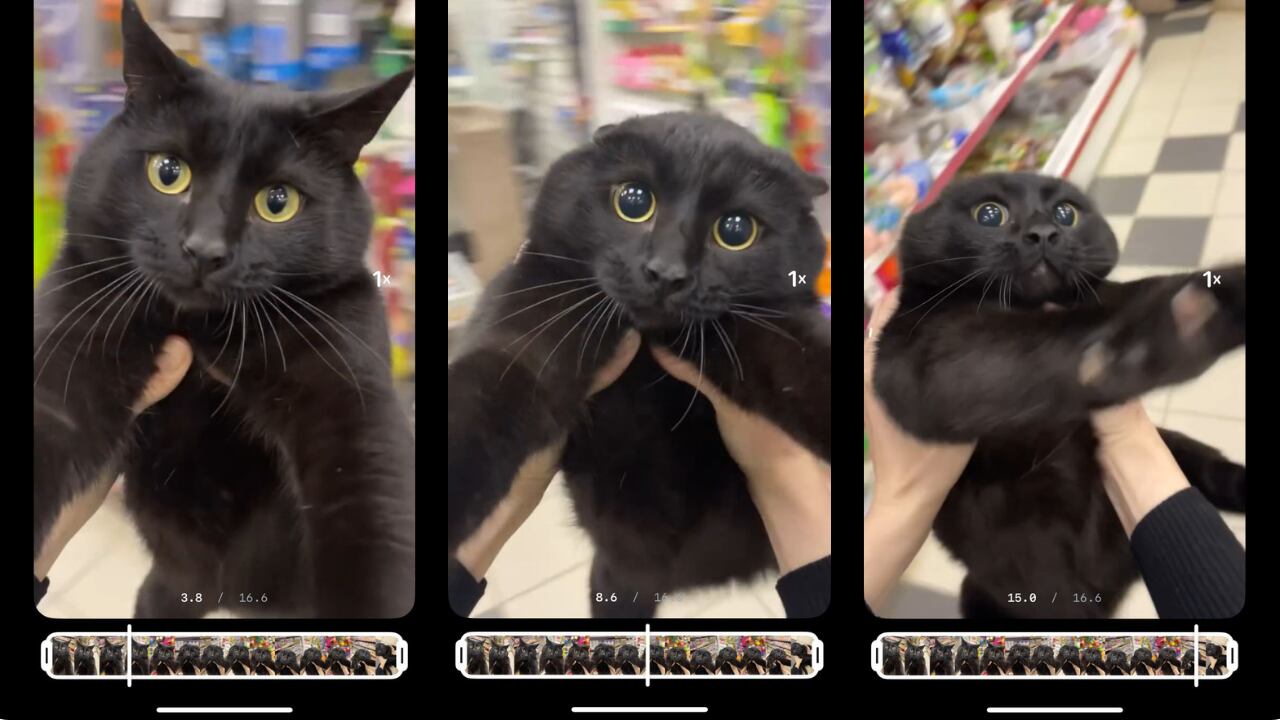 Pausar reels de Instagram en el momento preciso.