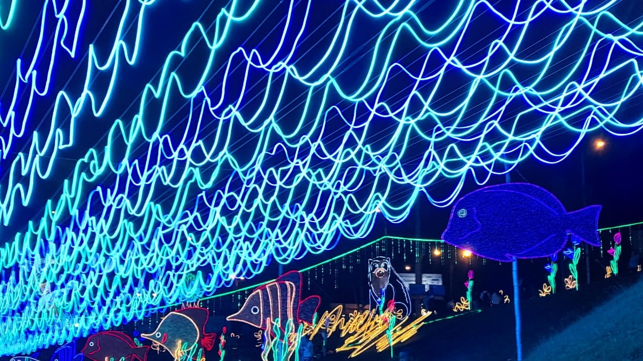 En varias ciudades se están realizando alumbrados navideños con recorridos especiales.