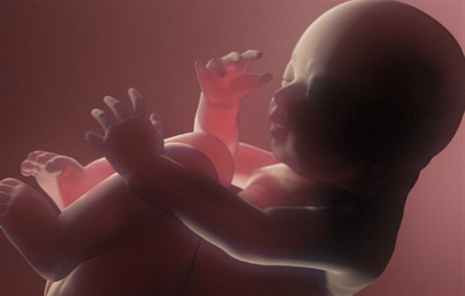 Se calcula que un 20% de los embarazos finalizan prematuramente por un aborto natural. Foto: Thinkstock