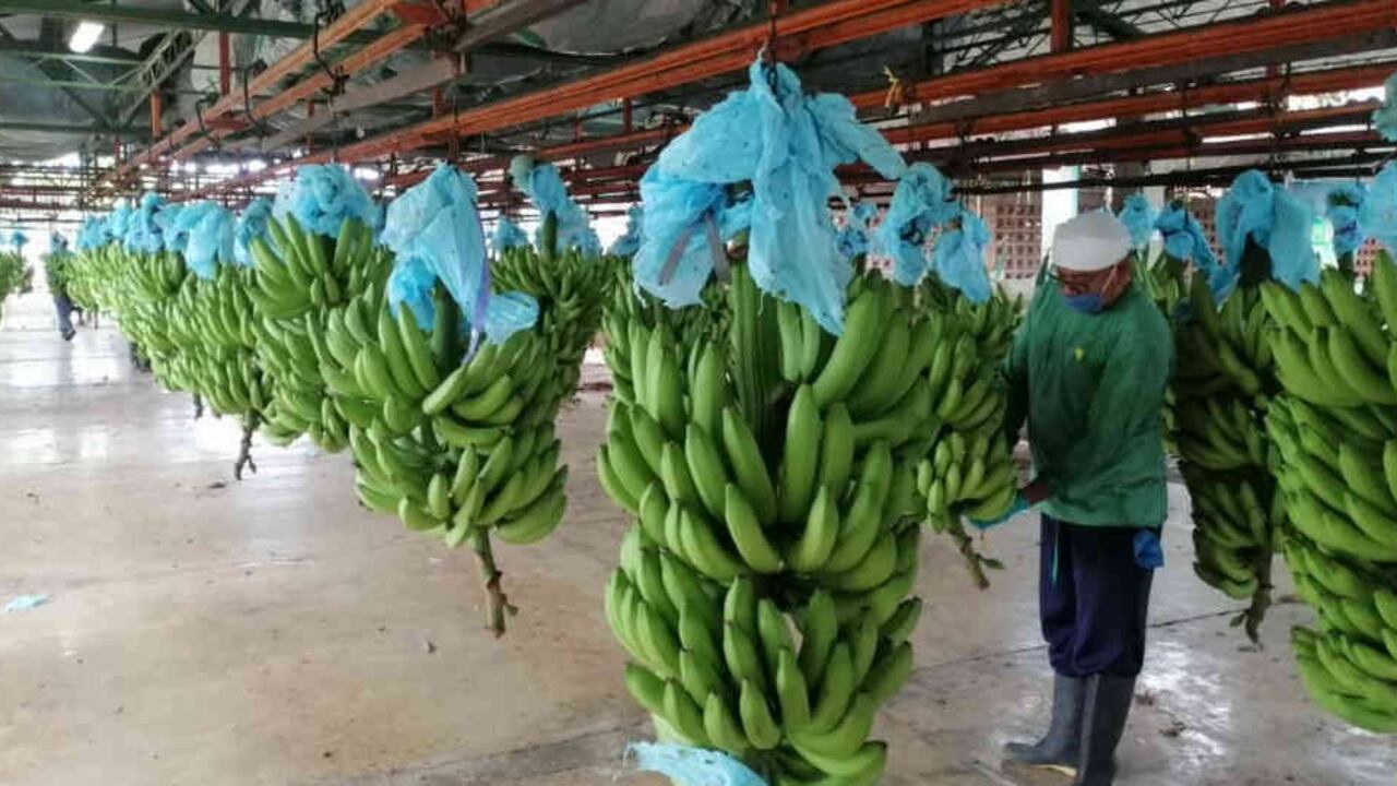 La cuarentena regirá desde este lunes 13 de julio durante una semana.