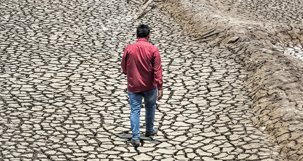 La ola de calor en la India ha generado una grave crisis alimentaria