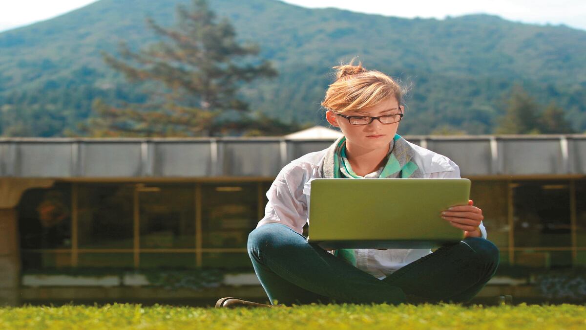 Perfiles con proyección