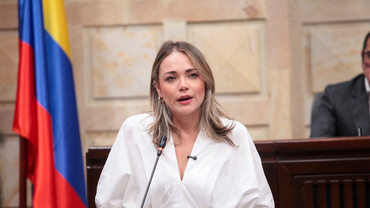 La representante Carolina Arbeláez expuso los cuestionamientos.