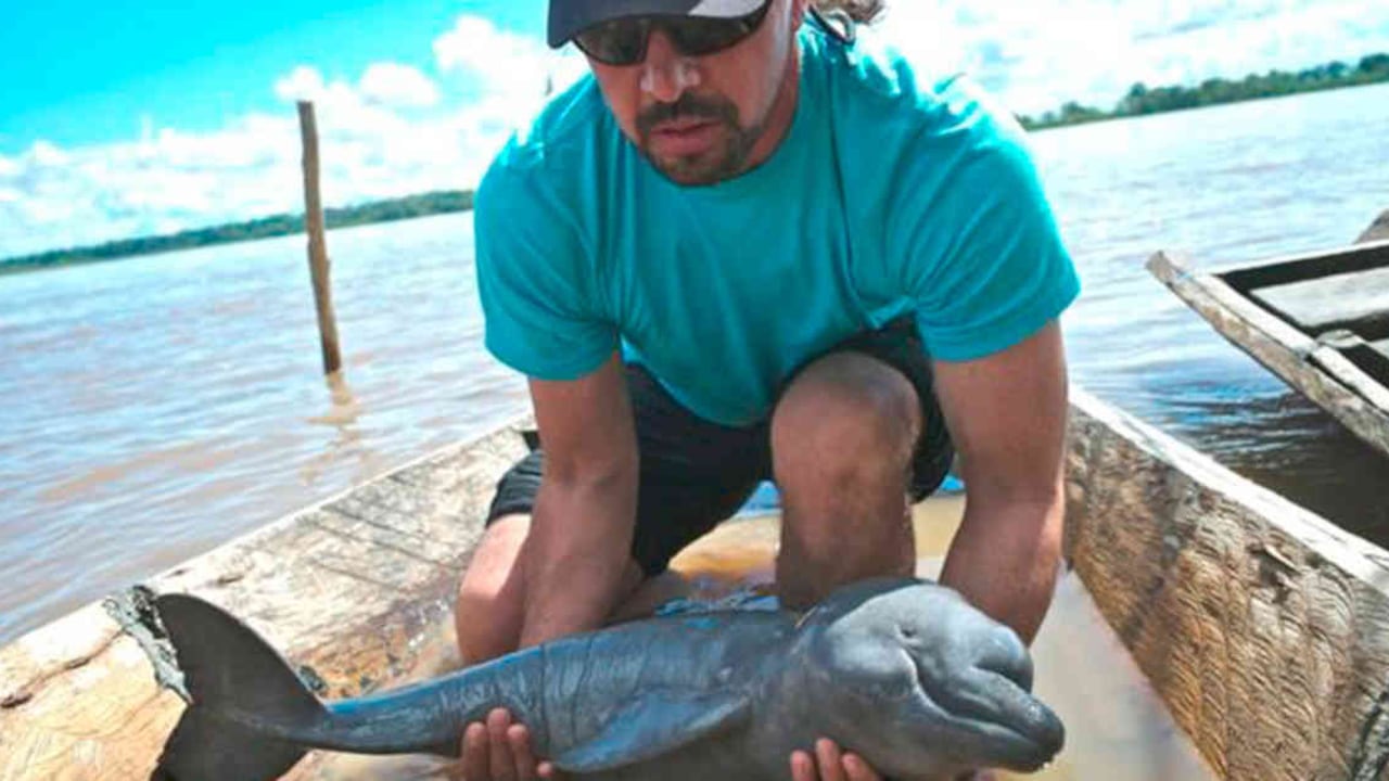 Foto: Fundación Omacha.