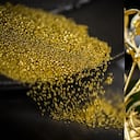 Imagen de referencia sobre planta que produce oro.