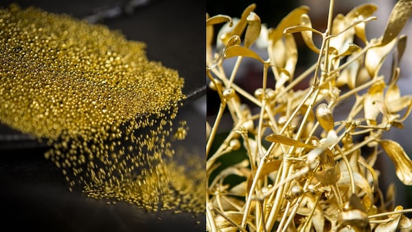 Imagen de referencia sobre planta que produce oro.