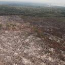 Cientos de hectáreas de bosque han sido deforestadas en la Serranía de Chiribiquete entre finales de 2020 y comienzos de este año. Foto: Fiscalía General de la Nación- Colombia hoy
