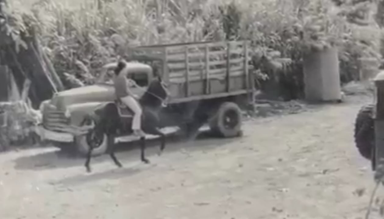 Socorro Oliveros, esposa de Rodolfo Hernández, se volvió una gran jinete