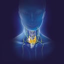 El linfoma es un tipo de cáncer del sistema linfático, que es parte de la red del organismo que combate los gérmenes. Uno de los síntomas es hinchazón indolora de los ganglios linfáticos en el cuello, las axilas o la ingle.