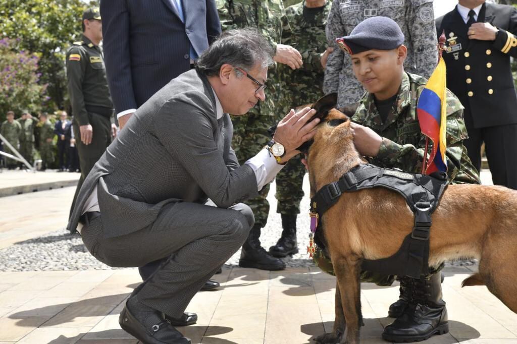 El presidente Gustavo Petro entrega una medalla a Drugia, la mamá de Wilson, el perro que ayudó a encontrar a los cuatro niños en la selva del Guaviare.