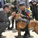 El presidente Gustavo Petro entrega una medalla a Drugia, la mamá de Wilson, el perro que ayudó a encontrar a los cuatro niños en la selva del Guaviare.