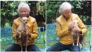 Galy galiano perdió a su perrita chavela Instagram @galygalianooficial