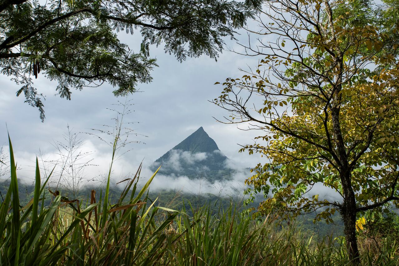 Cerro Tusa, en venecia, Antioquia.