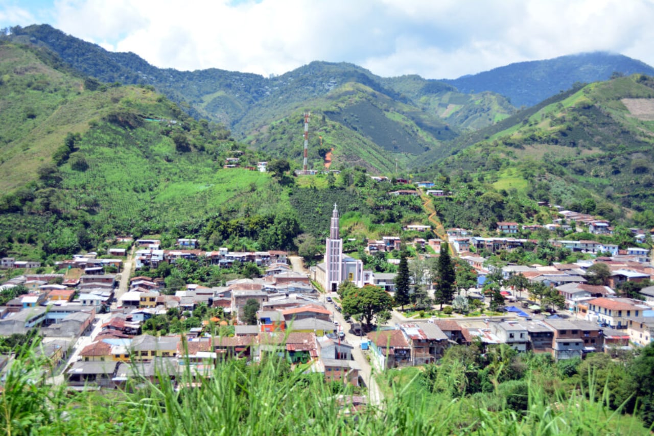 La celia, Risaralda